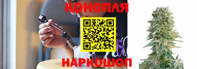 PSILOCYBIN Моздок