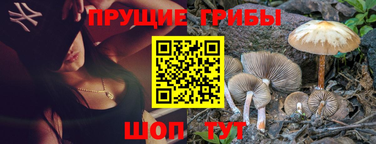 Псилоцибиновые грибы Cubensis  Вход с VPN  Урюпинск  Галлюциногенные грибы MAGIC MUSHROOMS 